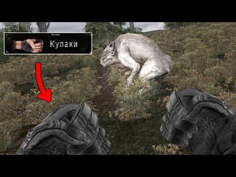 Видео: С кулаками на КАБАНОВ. STALKER Закоулки правды #1
