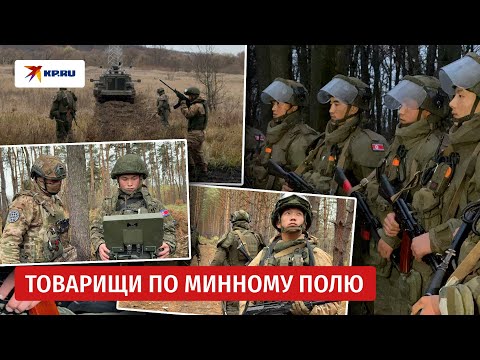 Видео: Сапёры КНДР помогают разминировать Курскую область
