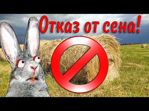 Видео: Полный отказ от сена!