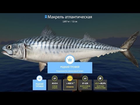 Видео: 🐠НОРВЕЖСКОЕ МОРЕ.Я РЫБАЧКА.ТЫ РЫБАК.С РЫБОЙ МЫ НЕ ВСТРЕТИМСЯ НИКАК🐡РОЗЫГРЫШ РУЛЕТОК