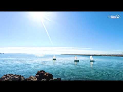 Видео: Разходка по пристанището