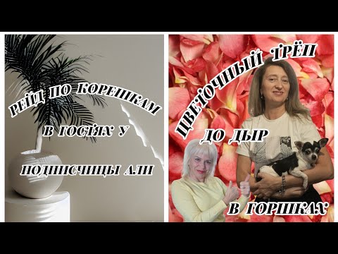 Видео: 💐☕ЦВЕТЫ, БОЛТОВНЯ И ВКУСНЫЙ ЧАЁК. ИДЕАЛЬНЫЙ ДЕНЬ ‼️
