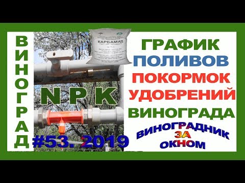 Видео: 🍇 ГРАФИК и НОРМЫ поливов и подкормок винограда. Первый полив. Удобрения для винограда.