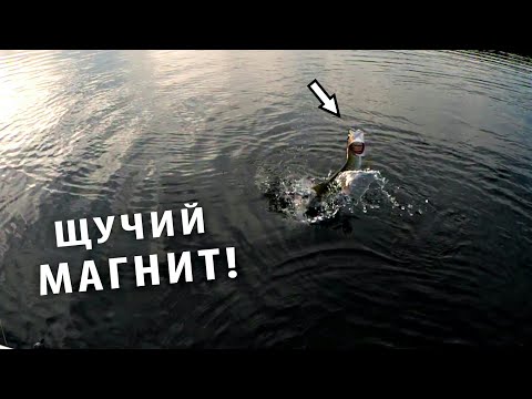 Видео: Рыбалка на Щуку. Ловля на Поппер.Щука на Rapala Skitter pop 90.