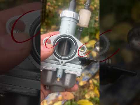 Видео: 5 ноября 2025 г.