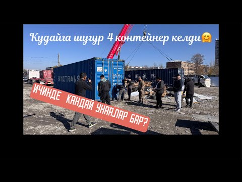 Видео: NUR KG в прямом эфире!