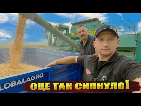 Видео: 🇺🇦НЕОЧІКУВАНИЙ урожай кукурудзи МАНІФІК🌽 Продали прямо з поля! Агрономчики в помічниках!