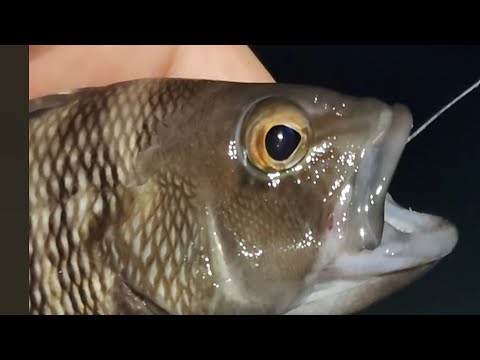 Видео: Fishing in wildlife. Рыбалка на диком месте
