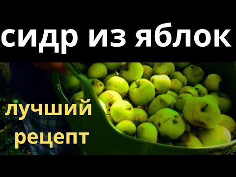 Видео: СИДР из яблок БЕЛЫЙ НАЛИВ  лучший рецепт по моей версии