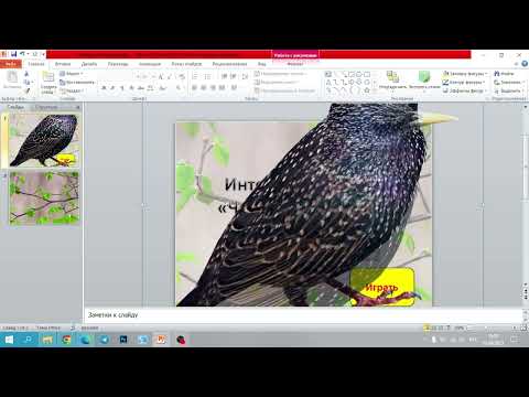 Видео: Мастер-класс "Создание интерактивной игры "Четвертый лишний"