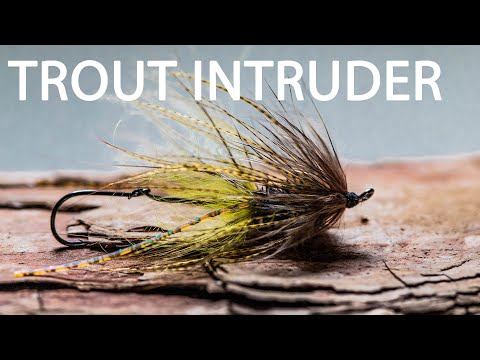 Видео: Как связать мушку-стример для форели Spey Intruder | Мини-мушка для стримера Trout Intruder