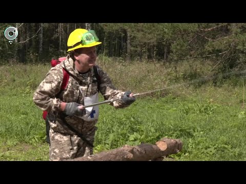 Видео: НОВОСТИ в 20:30 – 13 августа 2024