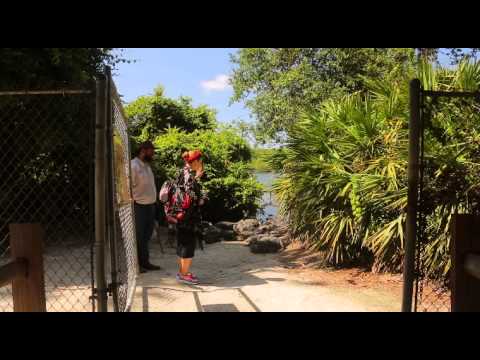 Видео: Орёл и Решка - 11.1 Выпуск (Юбилейный сезон #2. Орландо)