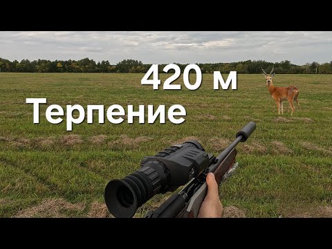 Видео: Охота на косулю. Blazer 30 06