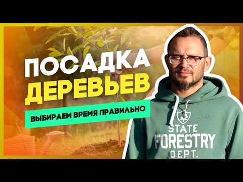 Видео: Посадка деревьев: осенью, весной или летом? Эти знания вам точно пригодятся!
