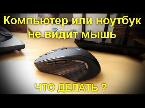 Видео: Компьютер или ноутбук не видит мышь . Что делать ?