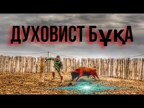 Видео: Ашулы бұқа адамға шабуылдады | Адам мен Бұқа төбелесі.