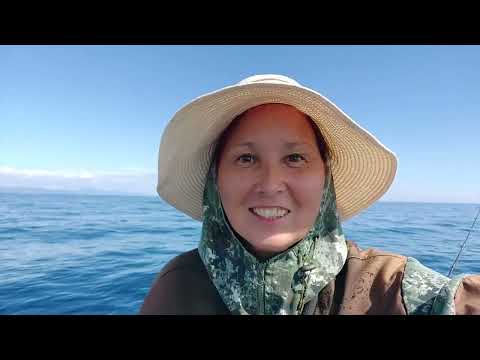 Видео: Поймали тунца на троллинг и тут пришла Акула..