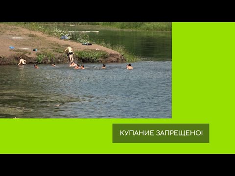 Видео: Купание запрещено!