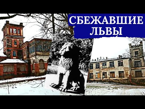 Видео: Сбежавшие львы. #заброшеннаяусадьба #заброшенныйзамок #путешествия
