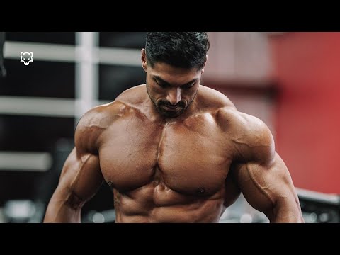 Видео: ЗЛОЙ ВОЛК 🐺 - Андрей Дейу