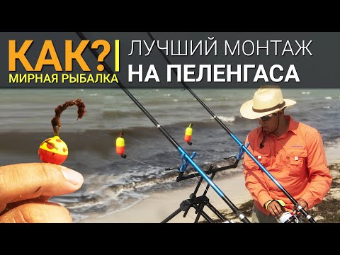 Видео: КАК? Лучший монтаж для ловли пеленгаса. Сёрфовая рыбалка.