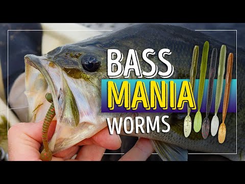 Видео: BASS MANIA. WORMS. Риболов на басове с червеи... Началото