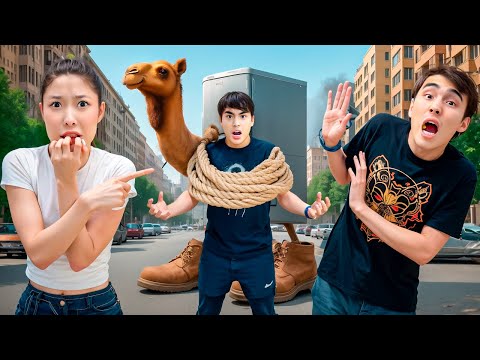 Видео: ФРИГО КАМЕЛО🐫😱| ҚОРҚЫНЫШТЫ ТҮЙЕ МА?🤯| ЕЛЖАСТЫ ҰСТАП АЛДЫ😭| МОЛЖАН ҚАШЫП КЕТТІ😡