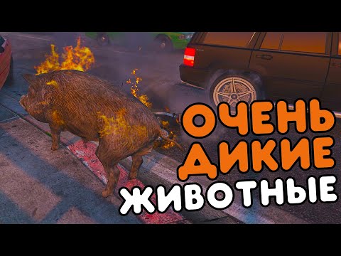 Видео: ОЧЕНЬ ДИКИЕ ЖИВОТНЫЕ) - RADMIR RP/GTA 5