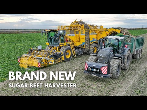 Видео: СОВЕРШЕННО НОВЫЙ ROPA TIGER | Урожай 2025 года подходит к концу!