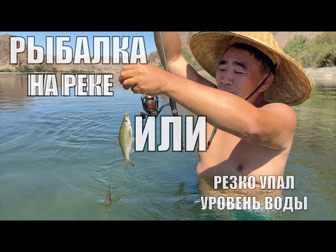 Видео: РЫБАЛКА НА РЕКЕ ИЛИ НЕТ ВОДЫ И НЕТ РЫБАЛКИ АВГУСТ 2025