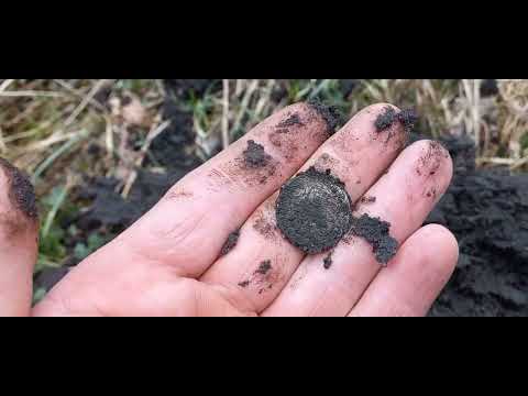 Видео: Панское серебро #Нашел  некопанную усадьбу#Коп 2023#Фарт и Вера..