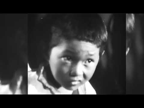 Видео: Русская литература 7 класс  Ч Айтматов Солдатенок