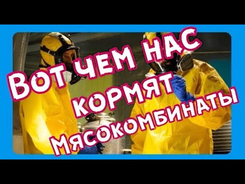 Видео: Вот чем нас кормят мясокомбинаты