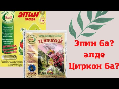 Видео: Қайссы жақсы?Эпин мен Цирконның айырмашылығы.Эпинди калай колданамыз?