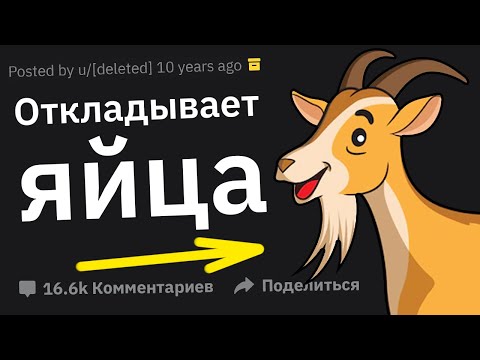 Видео: В Истинности Какой Нелепой Чуши Вам Удалось Убедить Другого Человека?