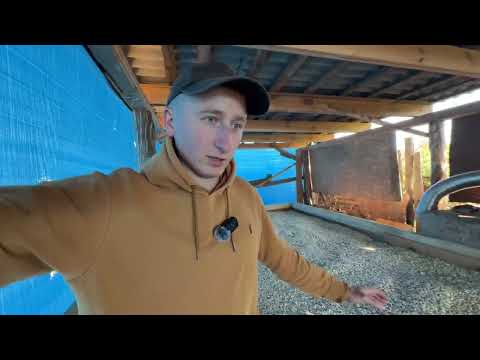 Видео: Ніхто не розповідає, як сушать гарбузове насіння…