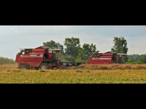 Видео: [Уборка рапса] 2X ПАЛЕССЕ GS 12 | GS12A1 | CLAAS Lexion 570  и др.