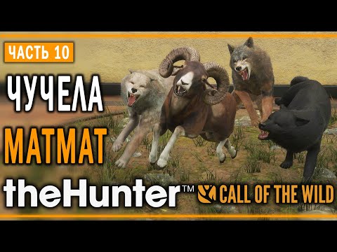 Видео: theHunter Call of the Wild #10 🐺 - Оскаленные Клыки - Кoмпозиции из Чучeл