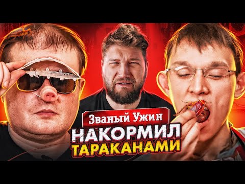 Видео: НАКОРМИЛ ДОЛЖАНСКОГО ТАРАКАНАМИ - ЗВАНЫЙ УЖИН
