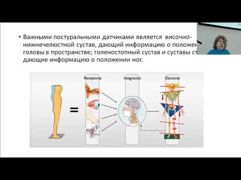 Видео: Мальцева М.Н. О постуральном контроле