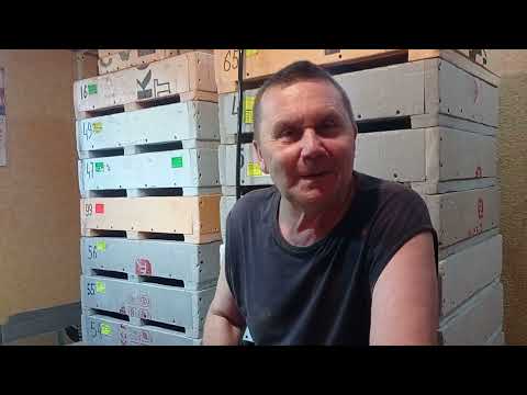 Видео: Виагра для Дендры. Часть 1.