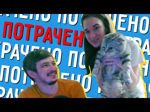 Видео: ЛУЧШИЕ МОМЕНТЫ СТРИМОВ #2 | НАШЕ БОЛОТО