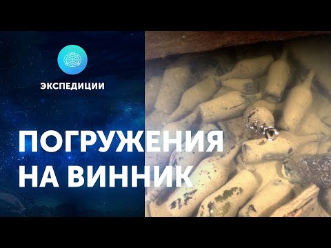 Видео: Погружения на «Винник». ЦПИ РГО