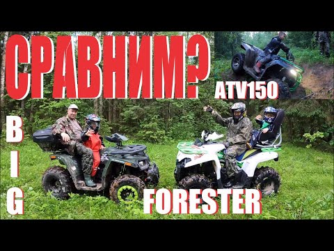 Видео: КВАДРОЦИКЛ АВАНТИС БИГ, ФОРЕСТЕР или ИРБИС АТВ 150? КТО ПРОХОДИМЕЙ?