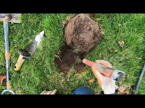 Видео: Очень старое кольцо... и оно было глубоким. Minelab Manticore в небольшом парке.