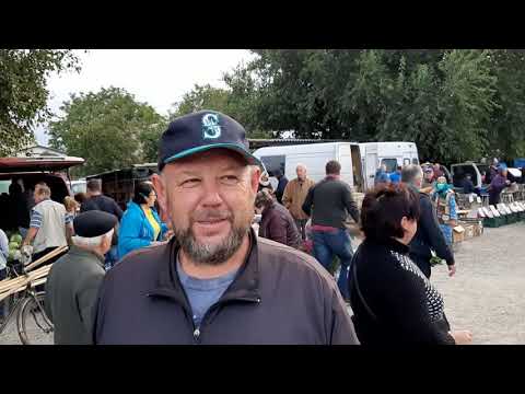 Видео: Нутрия.  Реализация и кормление.