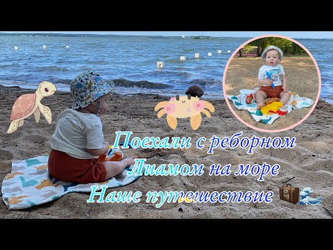 Видео: Поехали с реборном Лимам на море Путешествие с реборном reborn liam on the sea travel with reborn