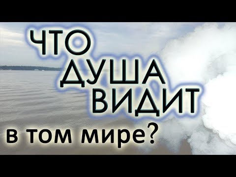 Видео: Это придётся увидеть и пережить в час смерти!.. Еп. Александр (Милеант)