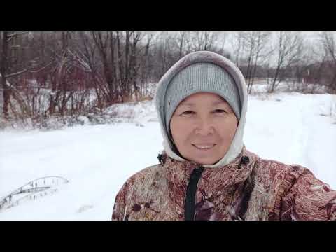 Видео: Рыбалка. Первый лед. Попала на раздачу крупной рыбы..